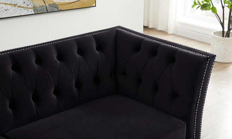 Black, Velvet, Two-Seater Sofa, Acrylic Feet, Cushion Combination Lounge Sofa