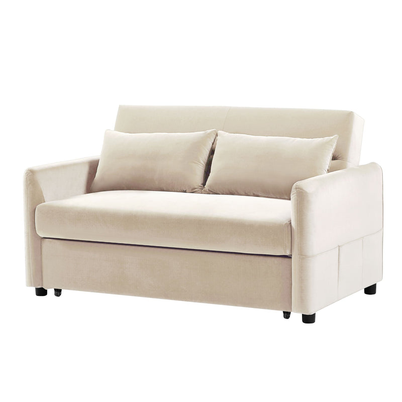 Double seat sofa bed sofa with pull-out bed