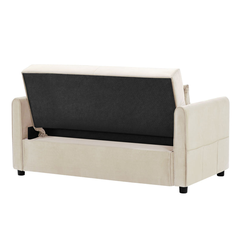 Double seat sofa bed sofa with pull-out bed